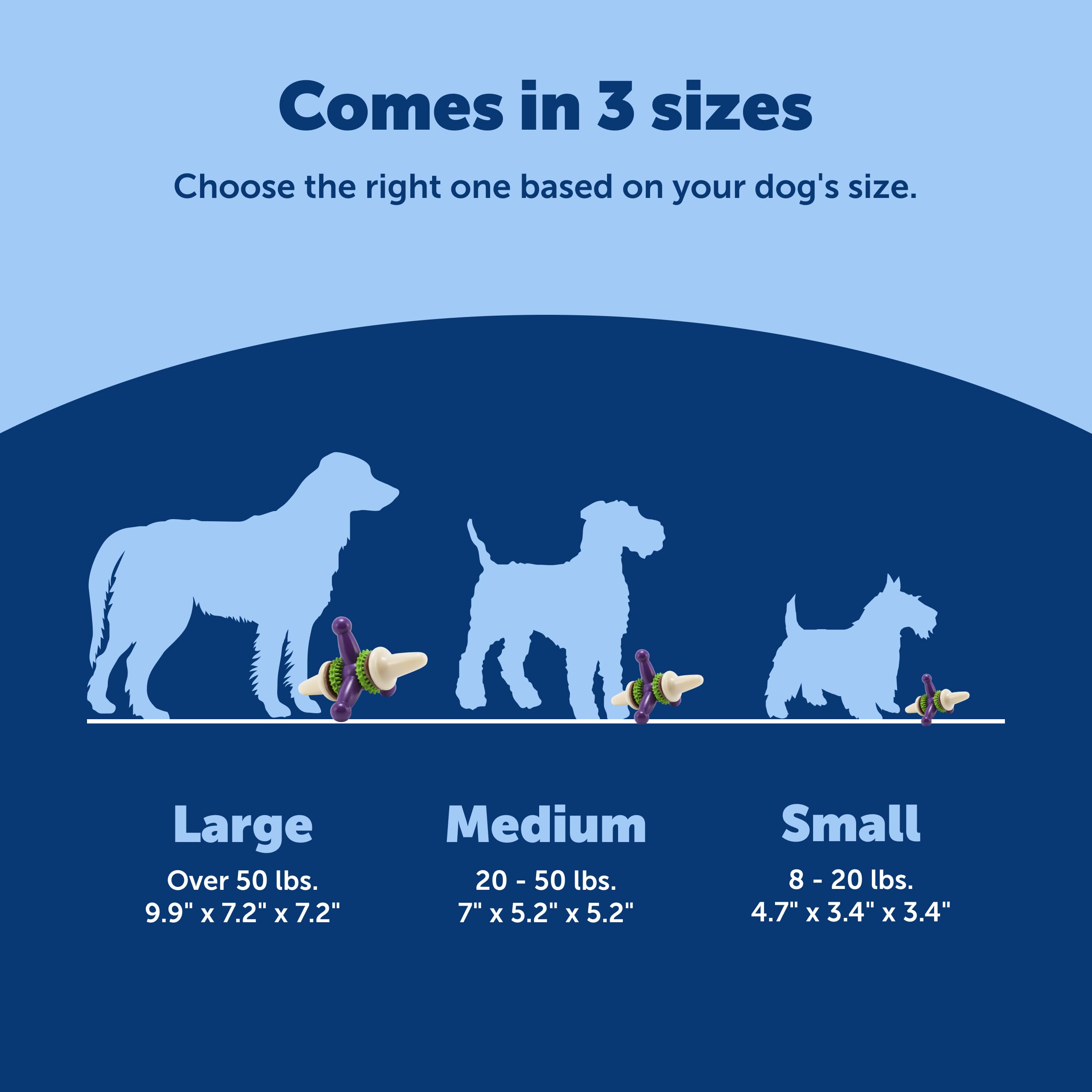 PetSafe Premier Busy Buddy Jack treat rings included for immediate rewards