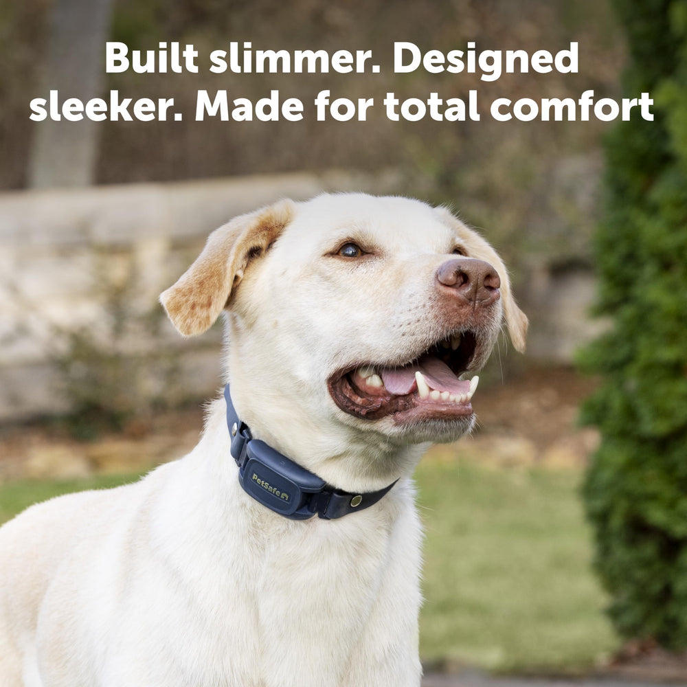 PetSafe Pro Dog Trainer remote shows 1000 ft range for outdoor obedience.
