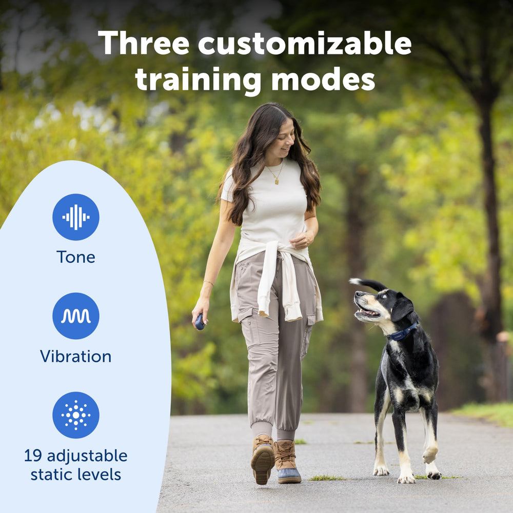 Tone, vibration, and static modes on PetSafe Pro Dog Trainer in use.