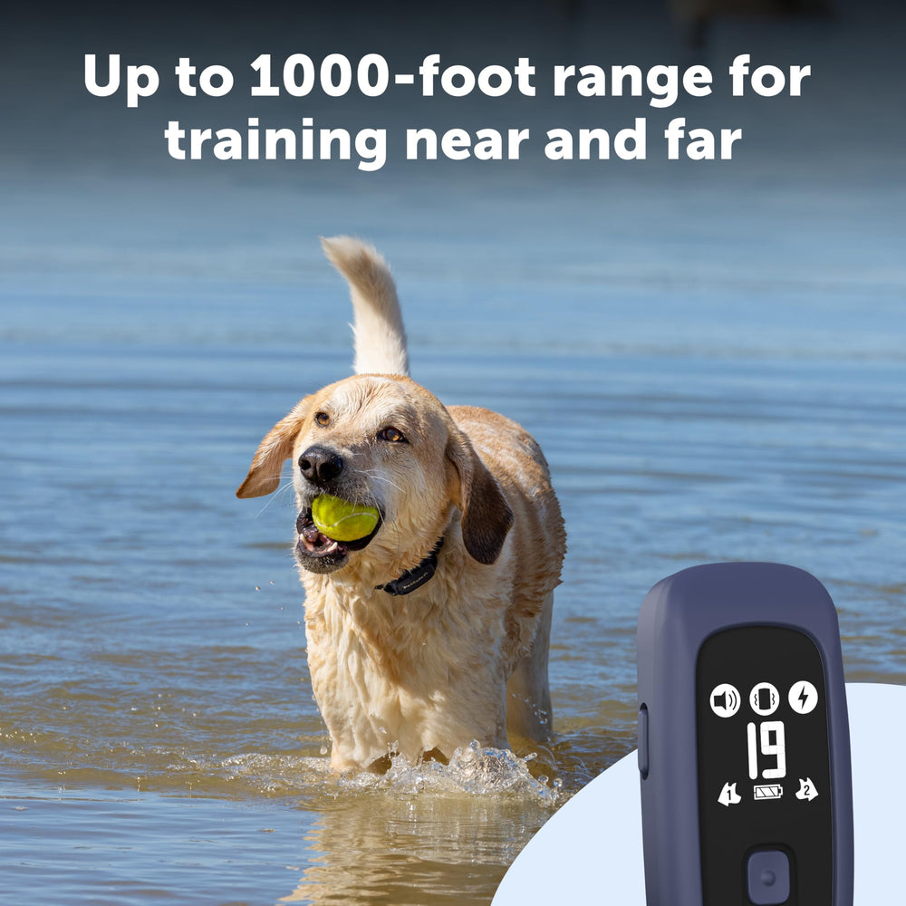 Add-A-Dog option with extra collar for multi-dog households.
