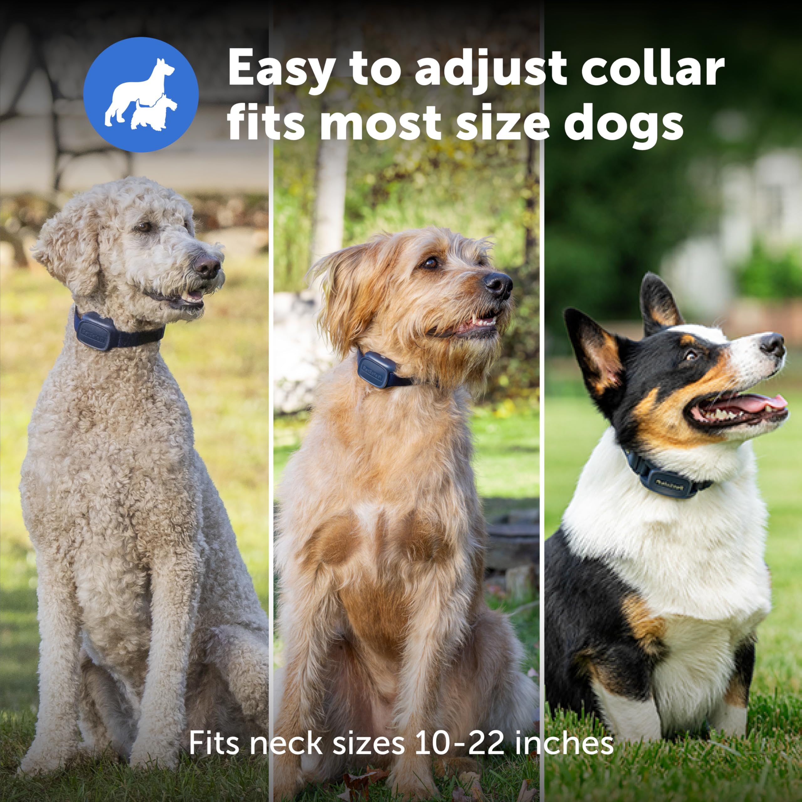 Adjustable TPU-coated nylon collar ensuring comfortable fit during active training.