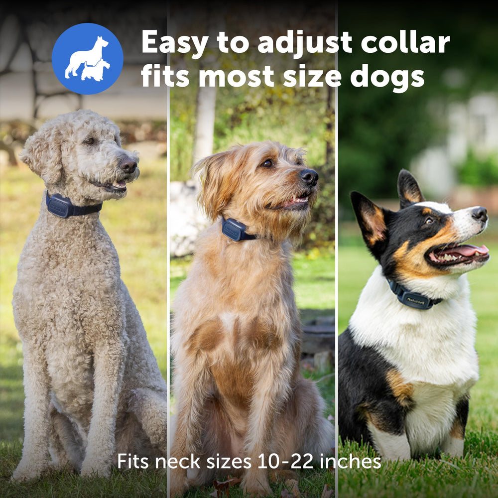 Adjustable TPU-coated nylon collar ensuring comfortable fit during active training.