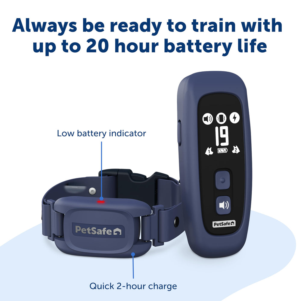 19 levels of static on PetSafe Pro Dog Trainer display intensity options.