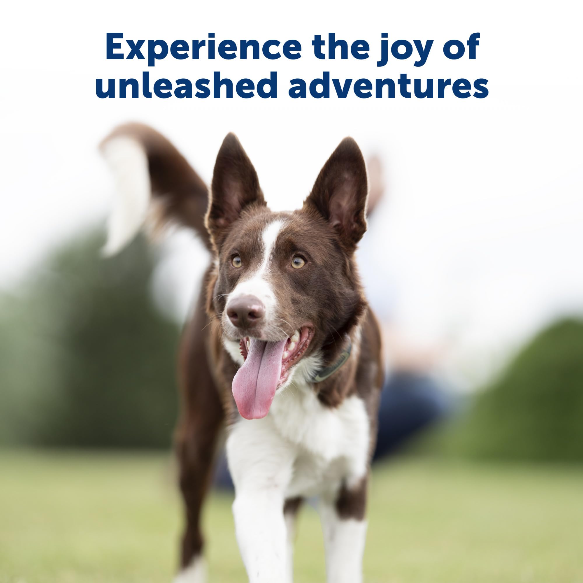 PetSafe quick-charging cable powers the device between training sessions.