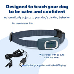 Weatherproof PetSafe bark collar designed for indoor and outdoor training sessions.