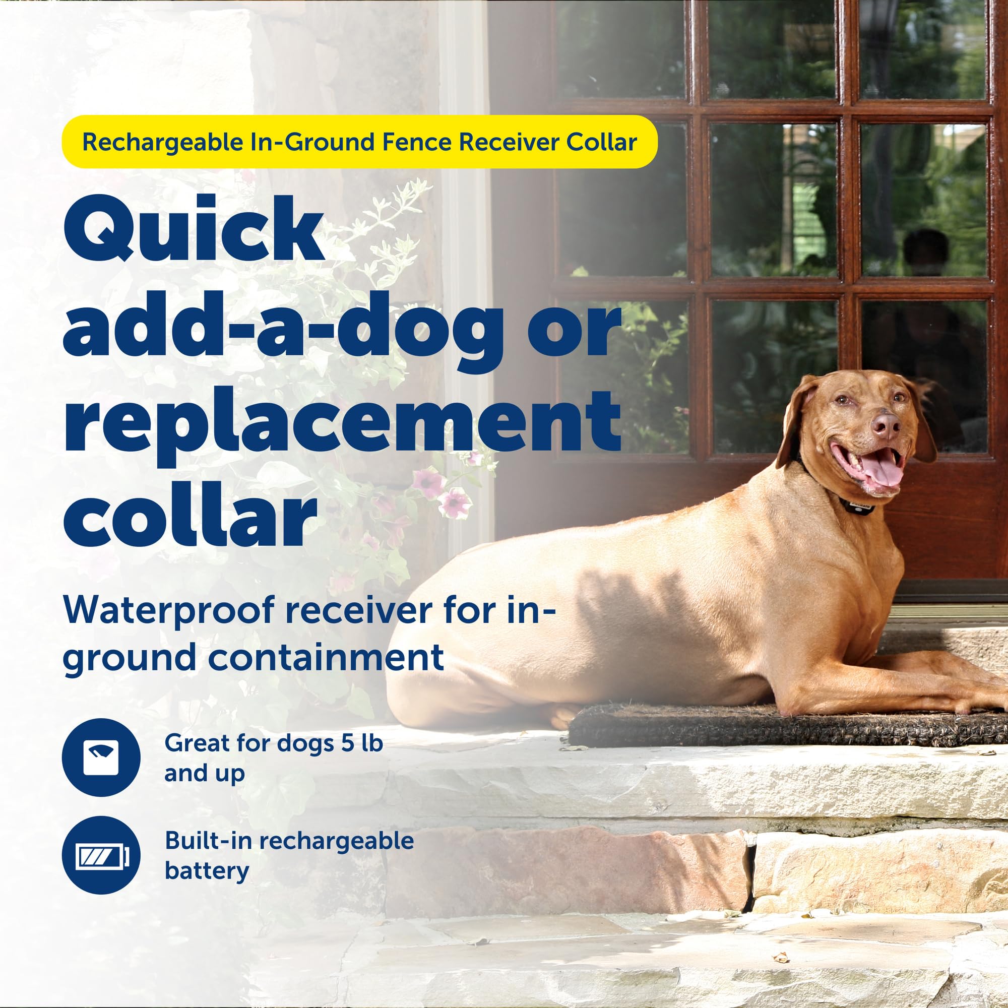 PetSafe rechargeable collar with 2–3 hour charge for extended use.