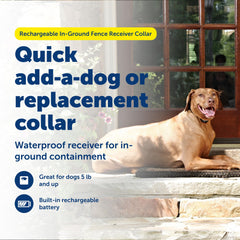 PetSafe rechargeable collar with 2–3 hour charge for extended use.