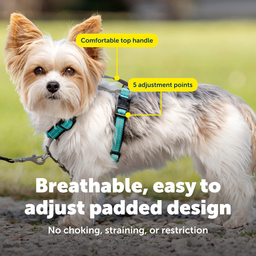 PetSafe reflective nylon padding for visibility in low light