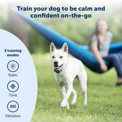 PetSafe remote trainer digital display helps you read settings day or night.