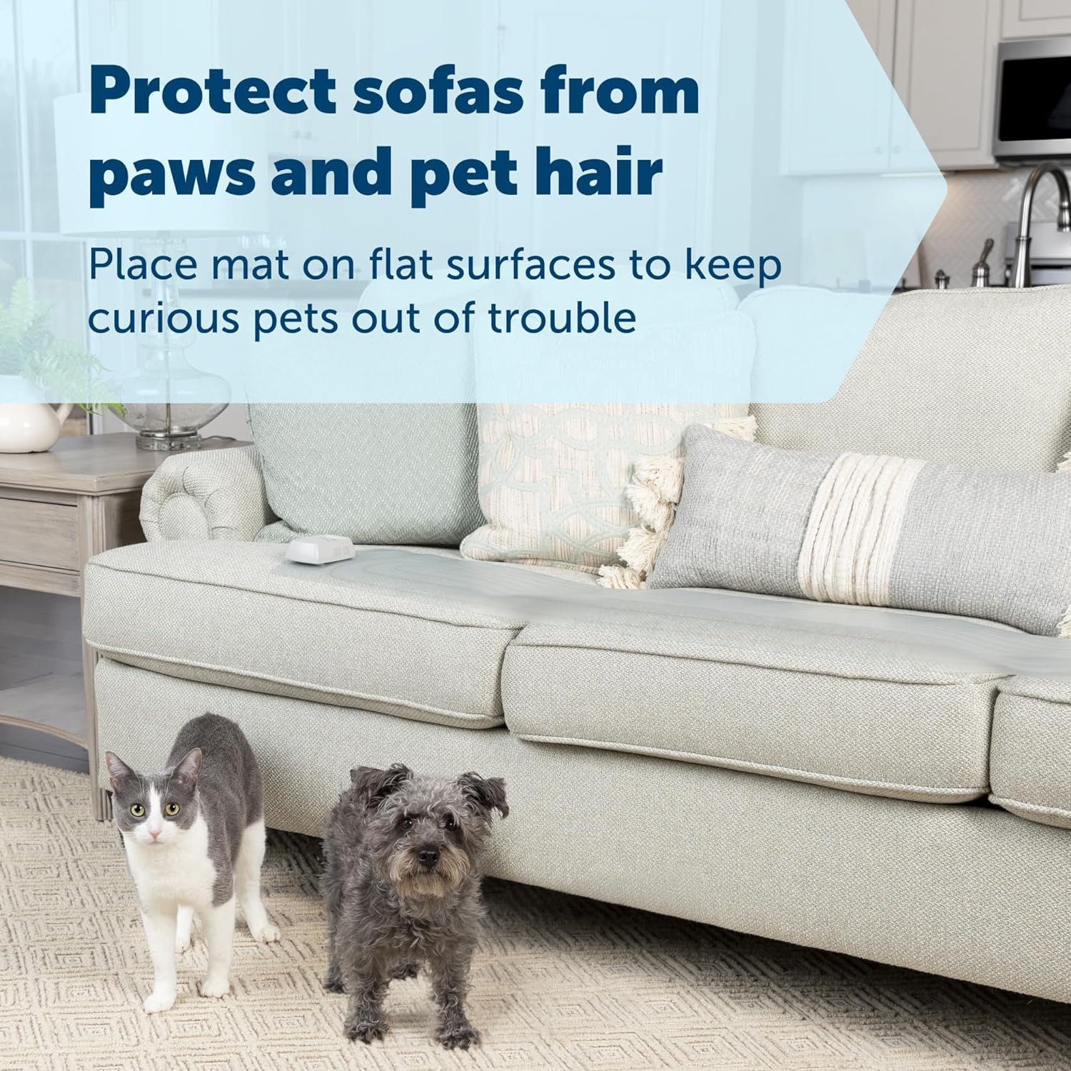 PetSafe ScatMat on countertop signals pets to avoid food areas safely.