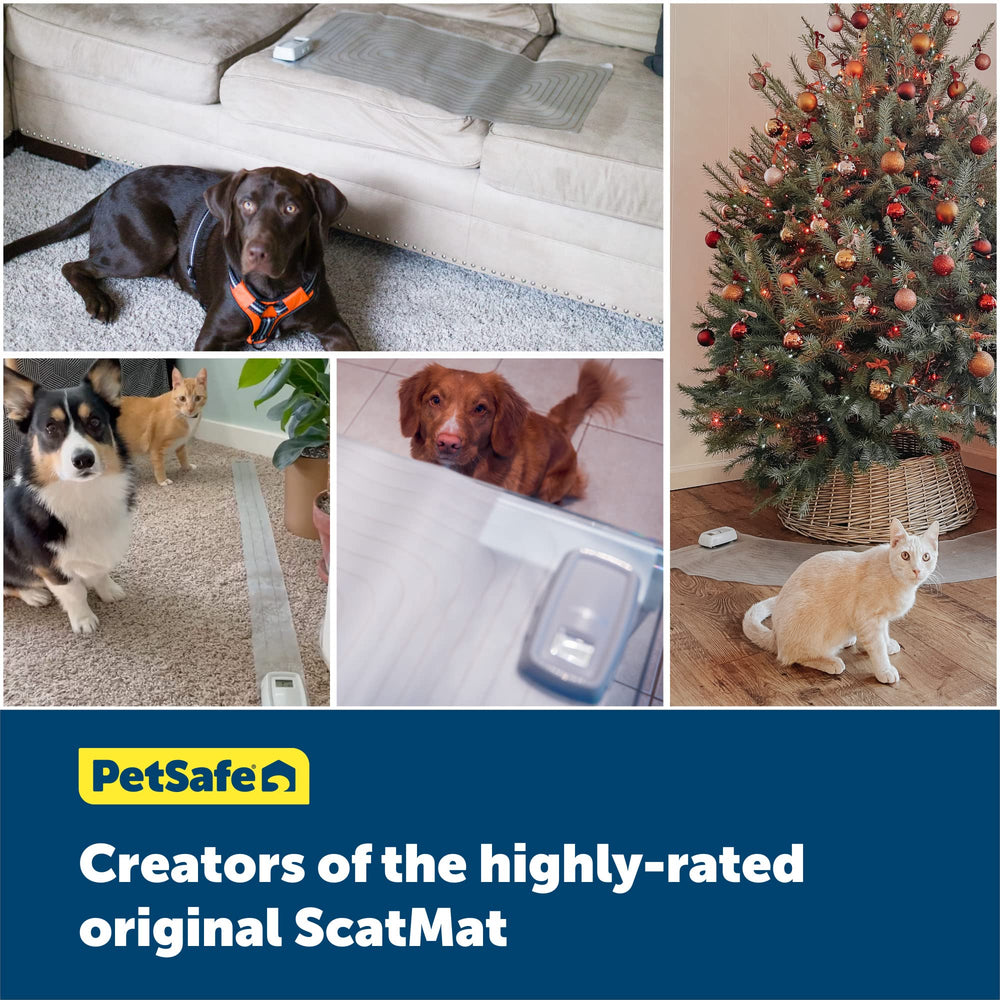 PetSafe ScatMat setup fits any room, offering portable training options.