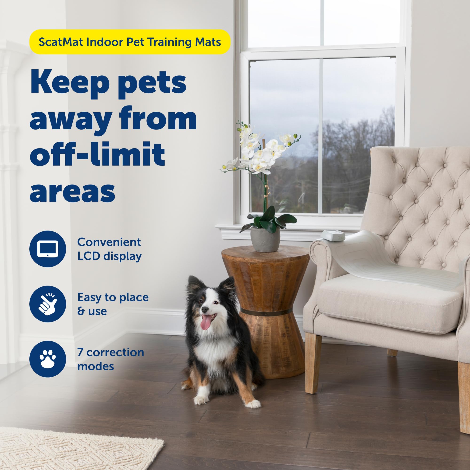 PetSafe ScatMat at sofa edge protects furniture from paws.