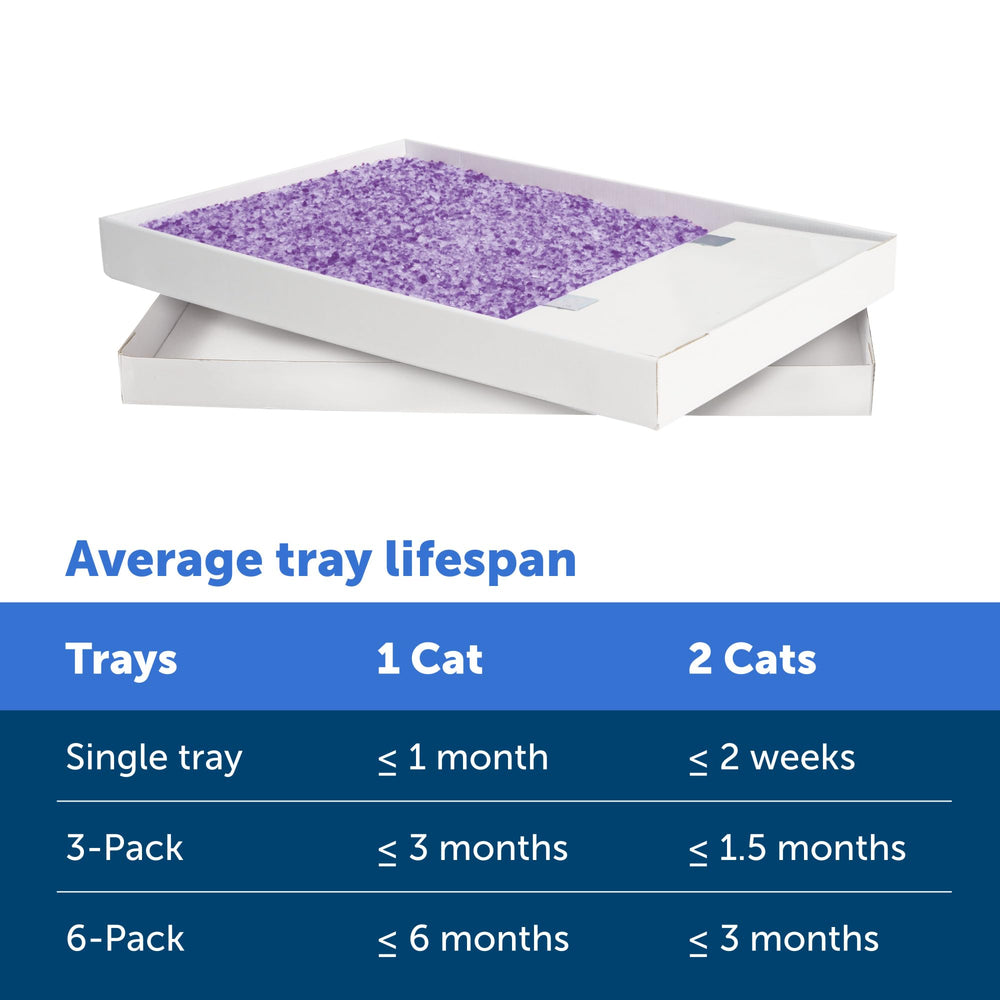 PetSafe ScoopFree 30-day tray offers long-use convenience for a single cat.