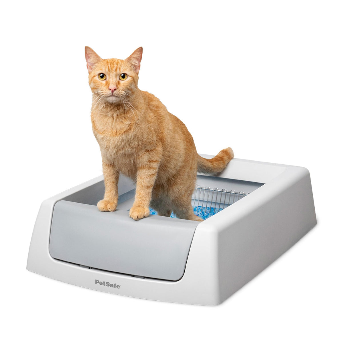 PetSafe ScoopFree Crystal Classic box top view highlighting self-cleaning litter box for hands-free maintenance.