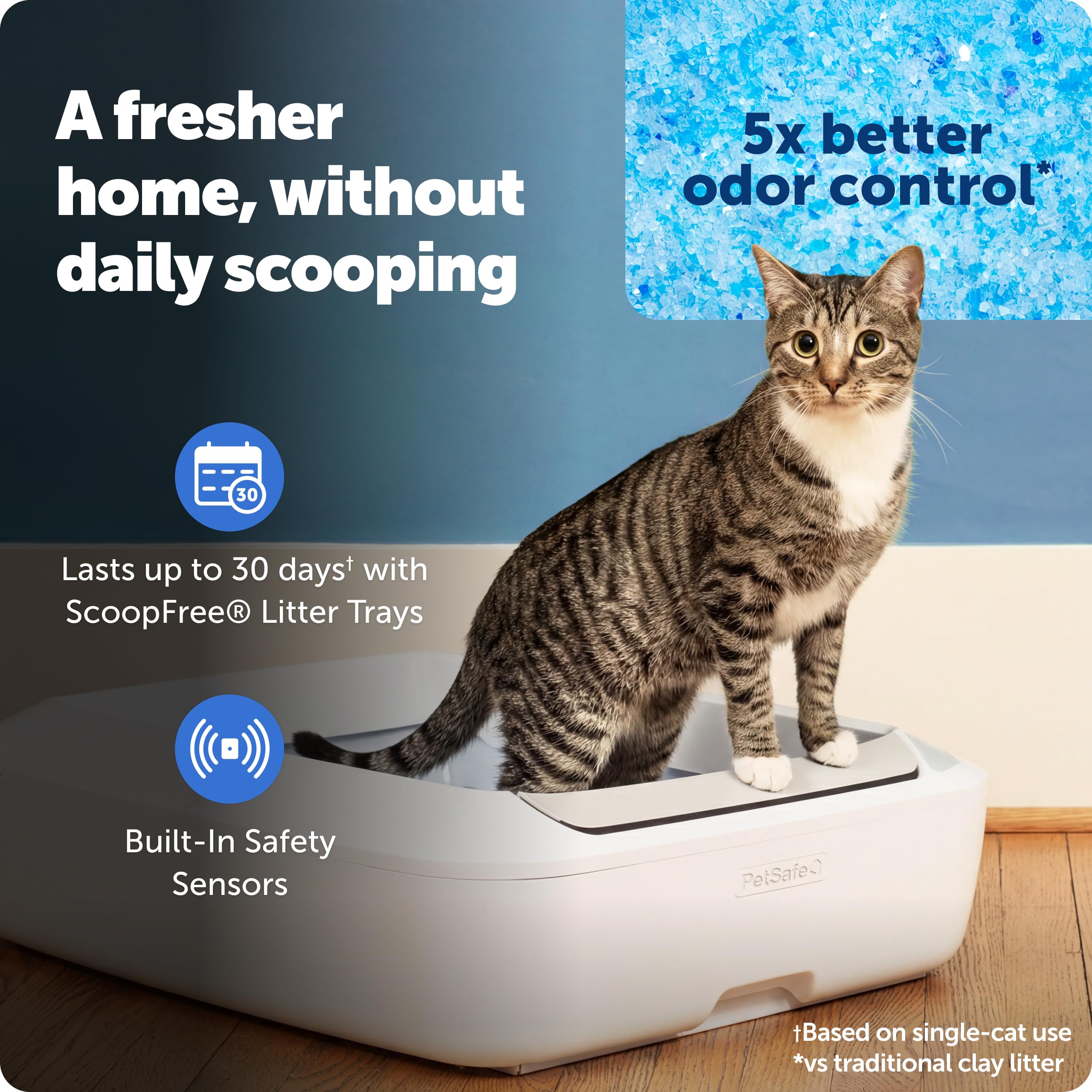 PetSafe ScoopFree Crystal Plus in-use unit highlights effortless maintenance