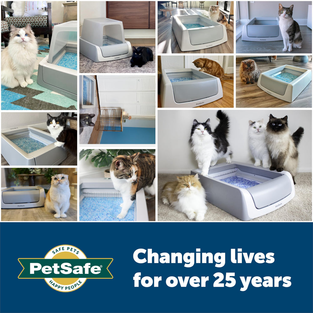 PetSafe ScoopFree Premium Crystal Litter provides rapid absorption and odor control