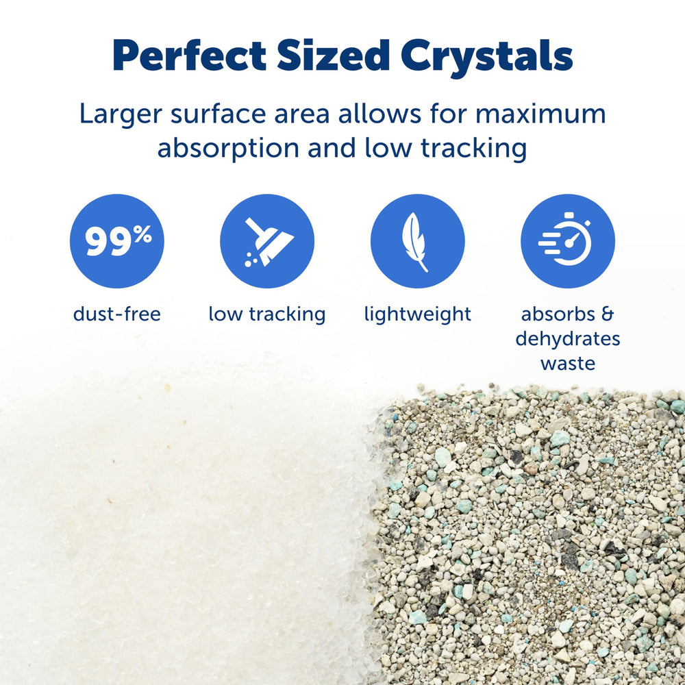PetSafe ScoopFree Premium Crystal Litter used in self-cleaning box setup.