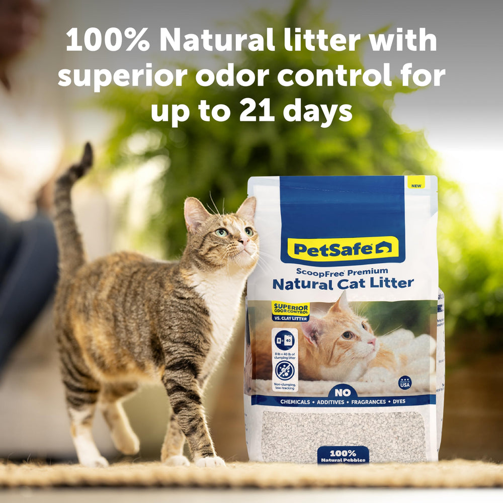 PetSafe ScoopFree Premium Natural Cat Litter compatible with any litter box for easy refills.