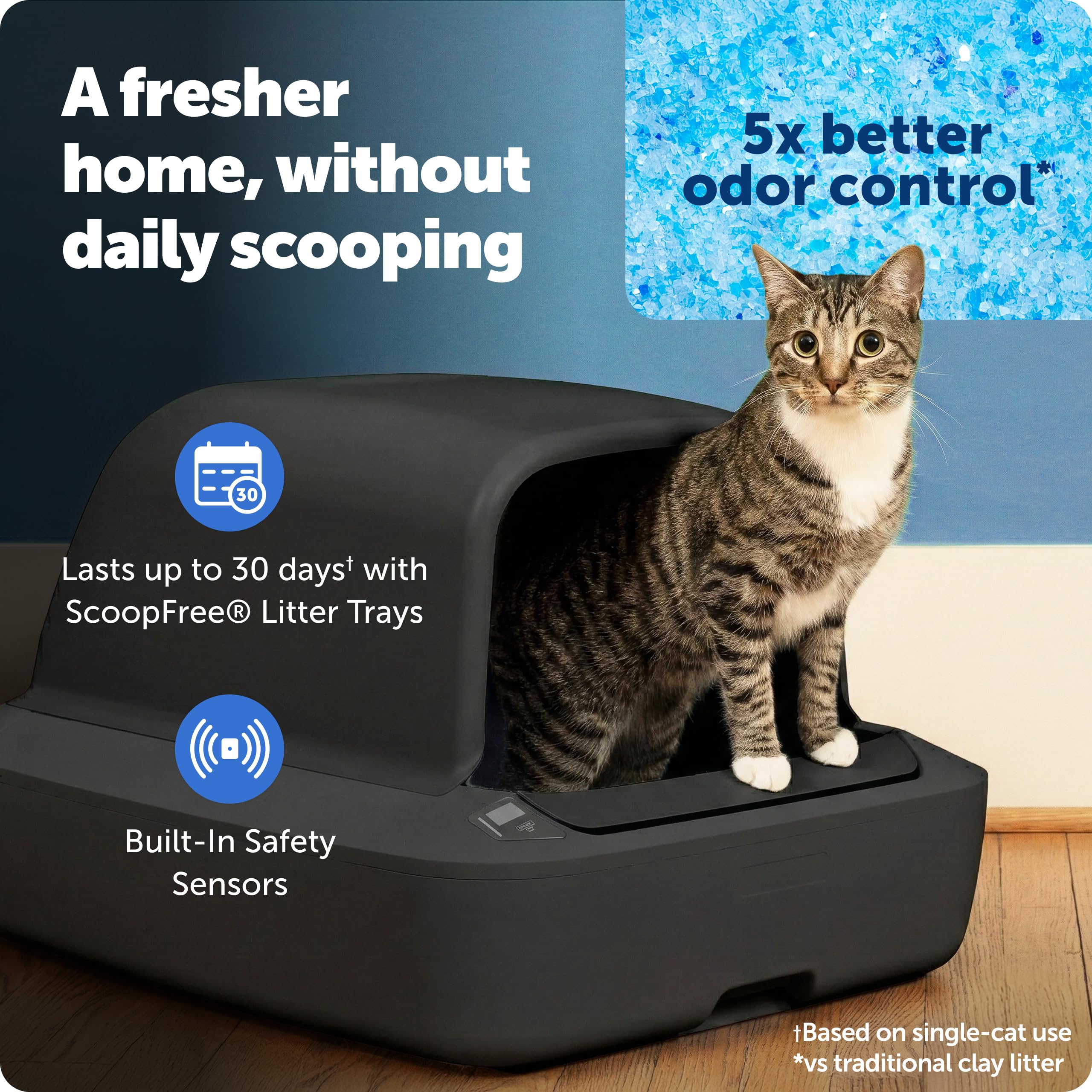 PetSafe ScoopFree privacy hood emphasizes private bathroom and reduced litter tracking.