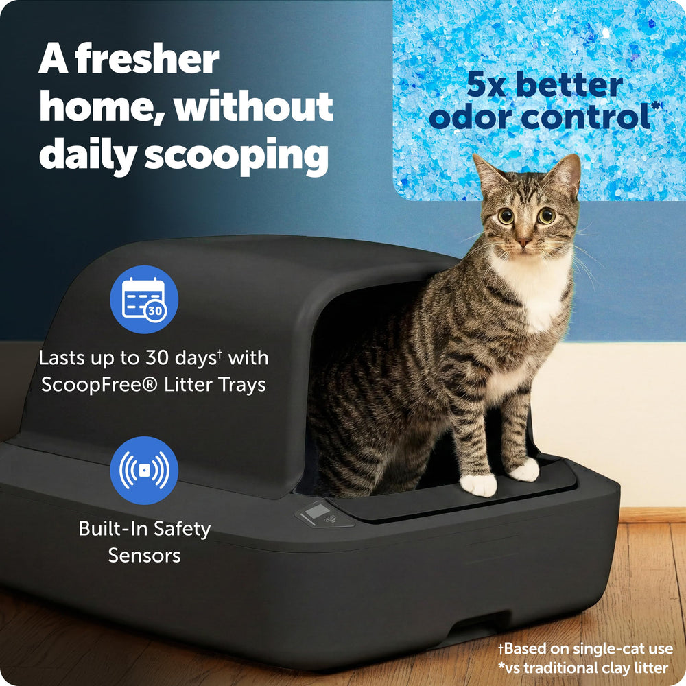 PetSafe ScoopFree privacy hood emphasizes private bathroom and reduced litter tracking.