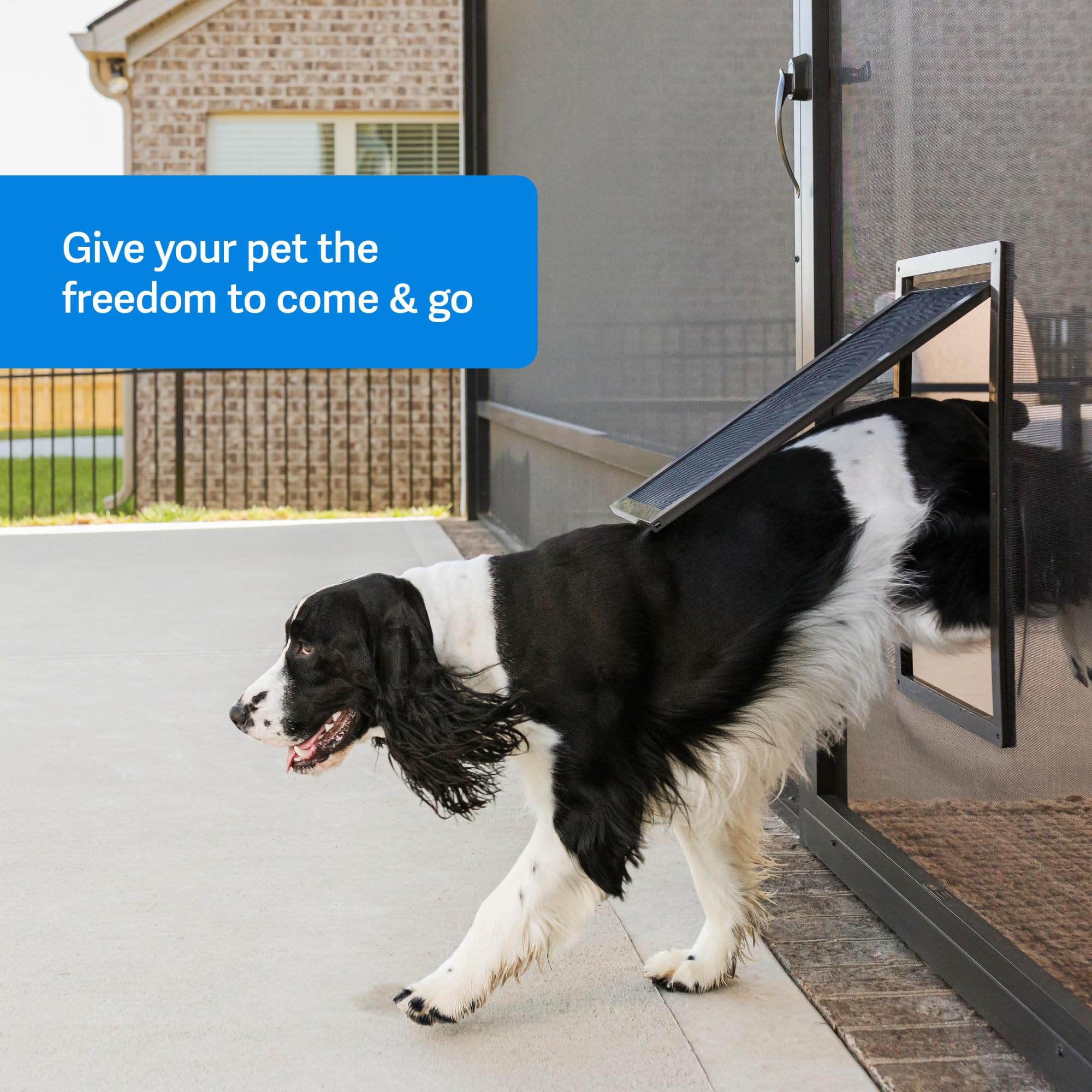 PetSafe door demonstrates quick DIY installation on a screen.