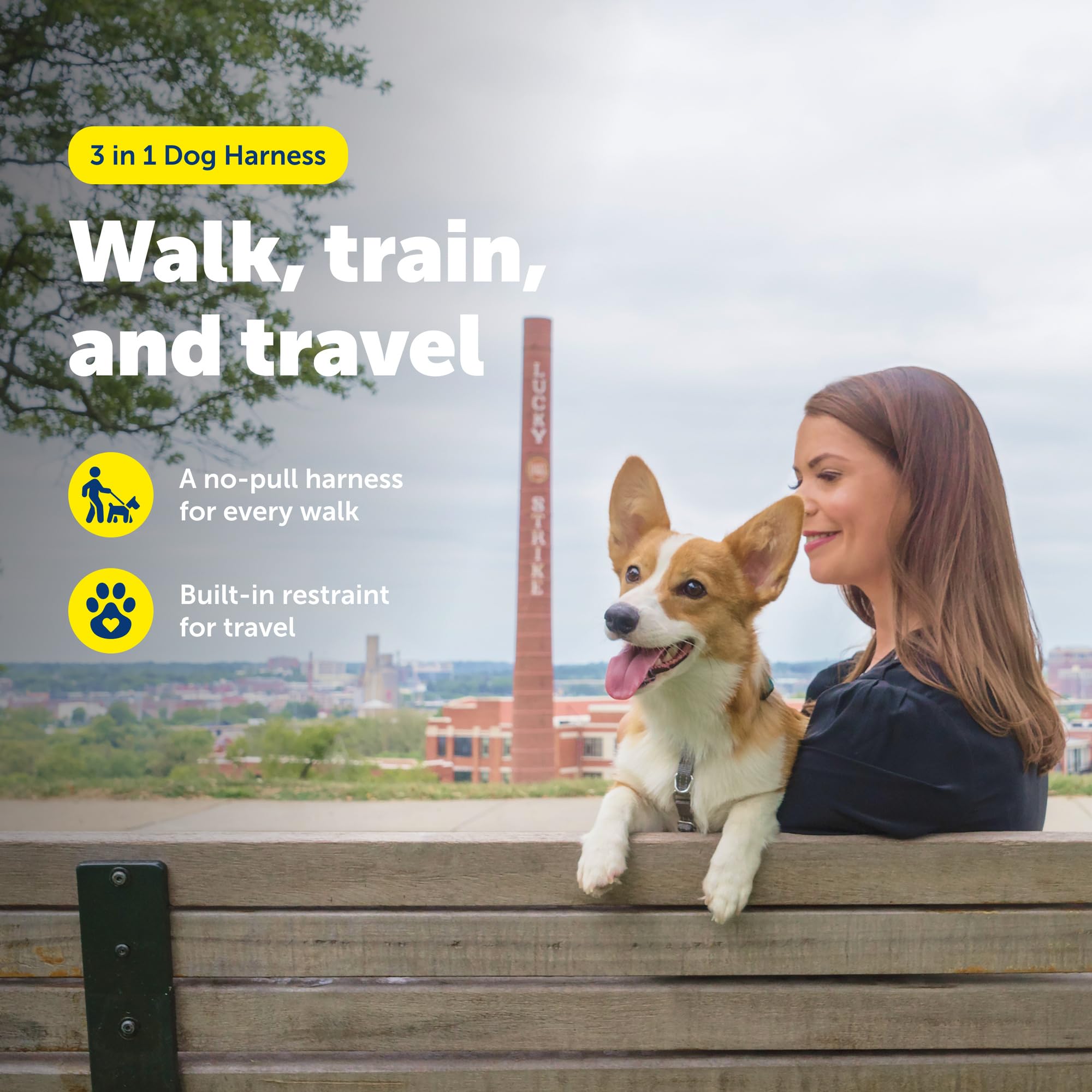 PetSafe seatbelt-loop harness enables safe car rides with a secure backseat restraint