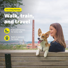 PetSafe seatbelt-loop harness enables safe car rides with a secure backseat restraint
