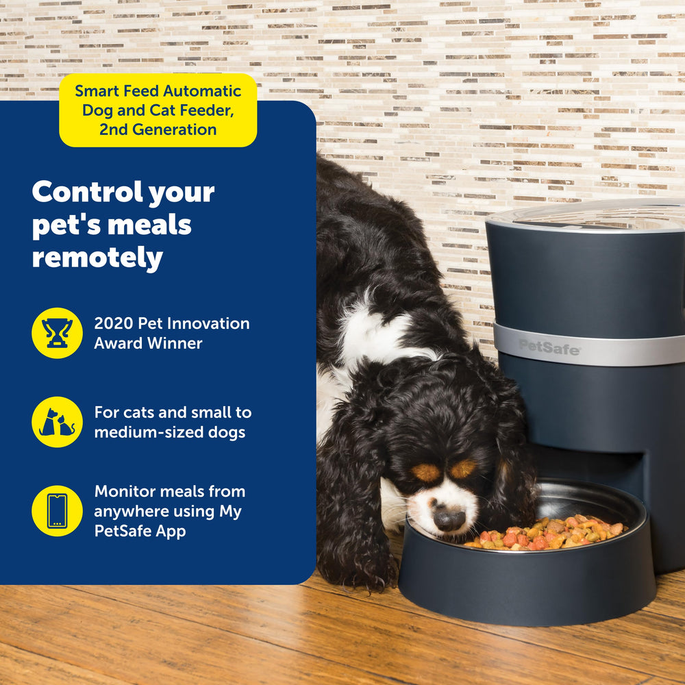 PetSafe Smart Feed with bowl and holder for stable feeding