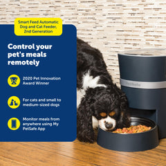 PetSafe Smart Feed with bowl and holder for stable feeding