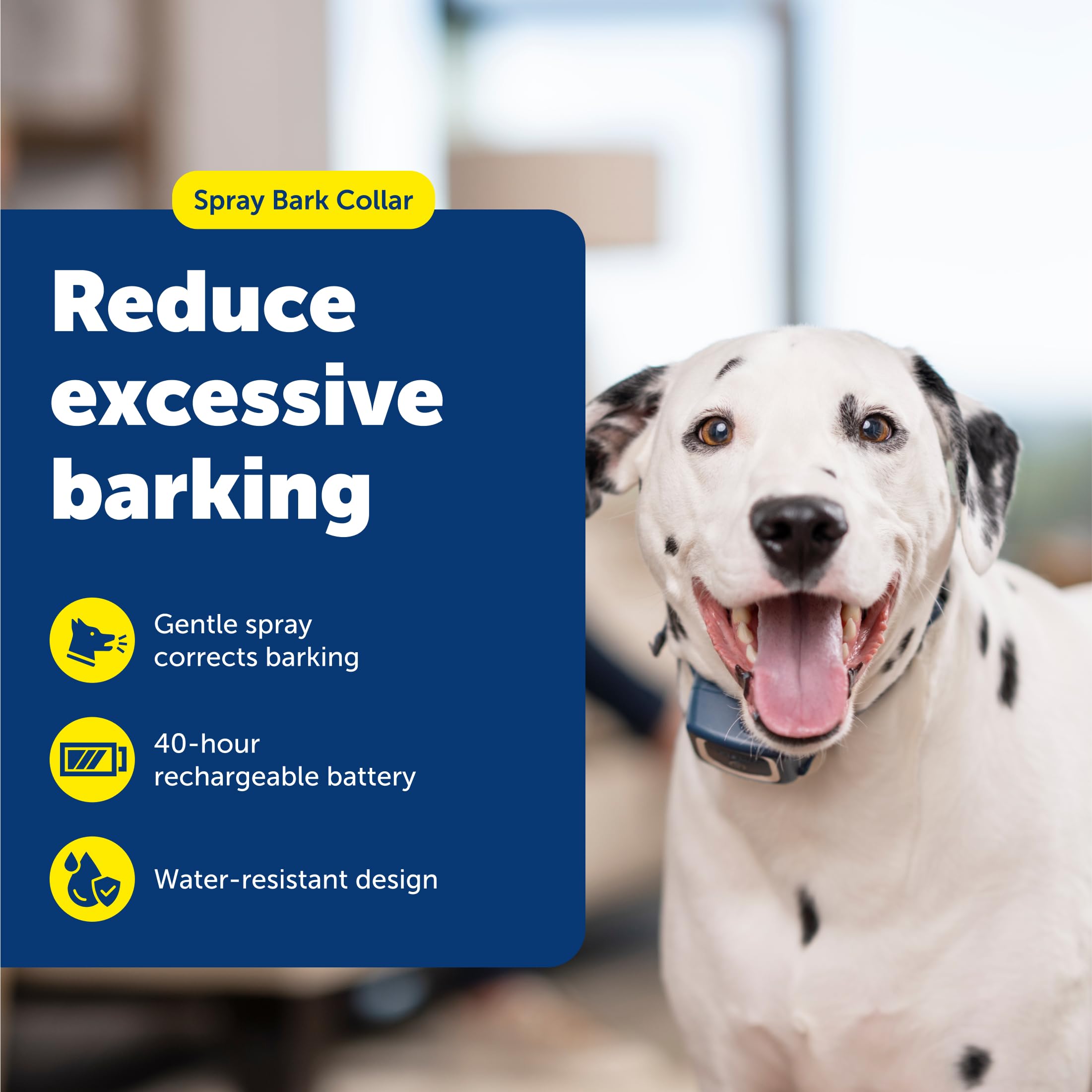 PetSafe Spray Bark Collar side view shows compact, comfortable wear.
