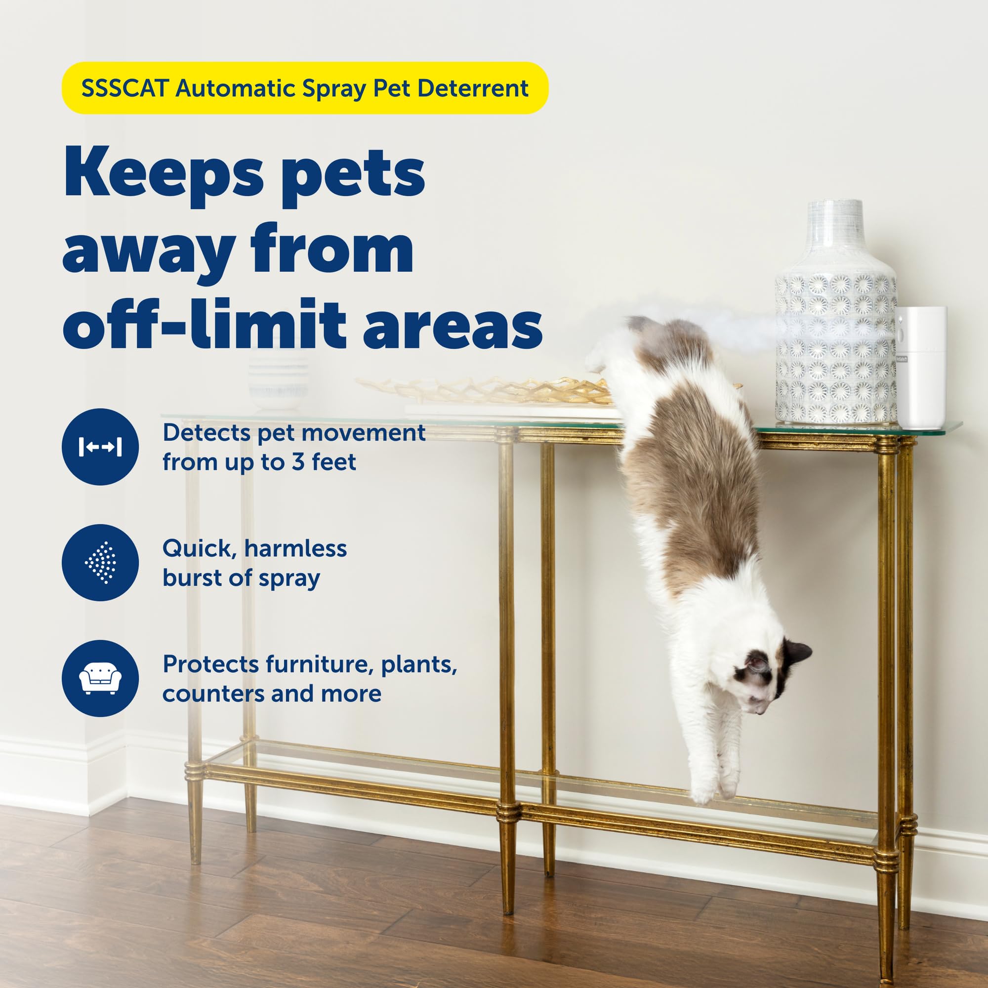 PetSafe SSSCAT odorless spray release demonstrating quick redirection