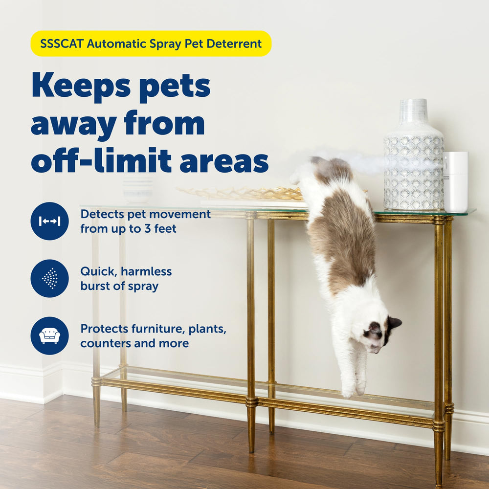 PetSafe SSSCAT odorless spray release demonstrating quick redirection