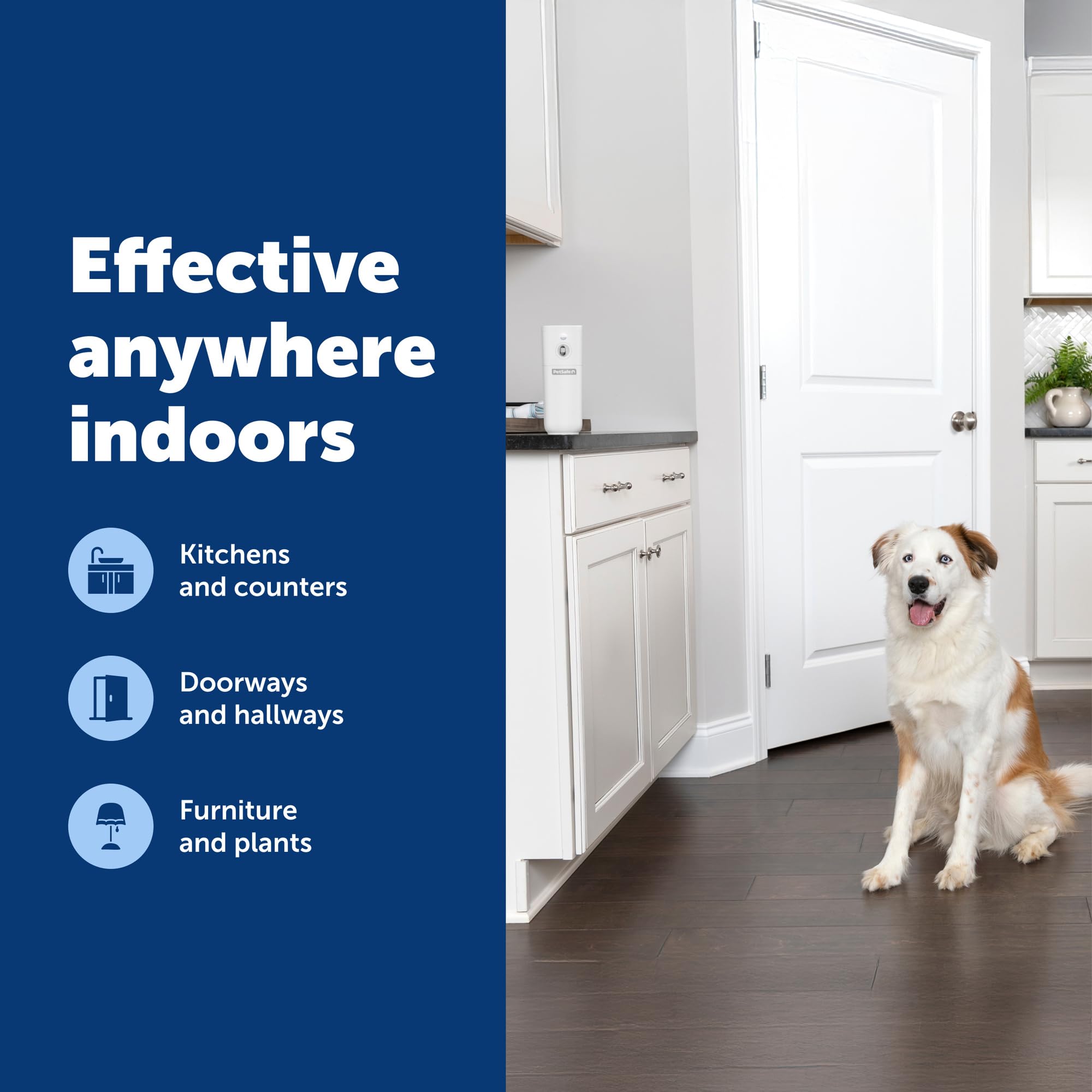 PetSafe SSSCAT use case in everyday pet friendly home setup