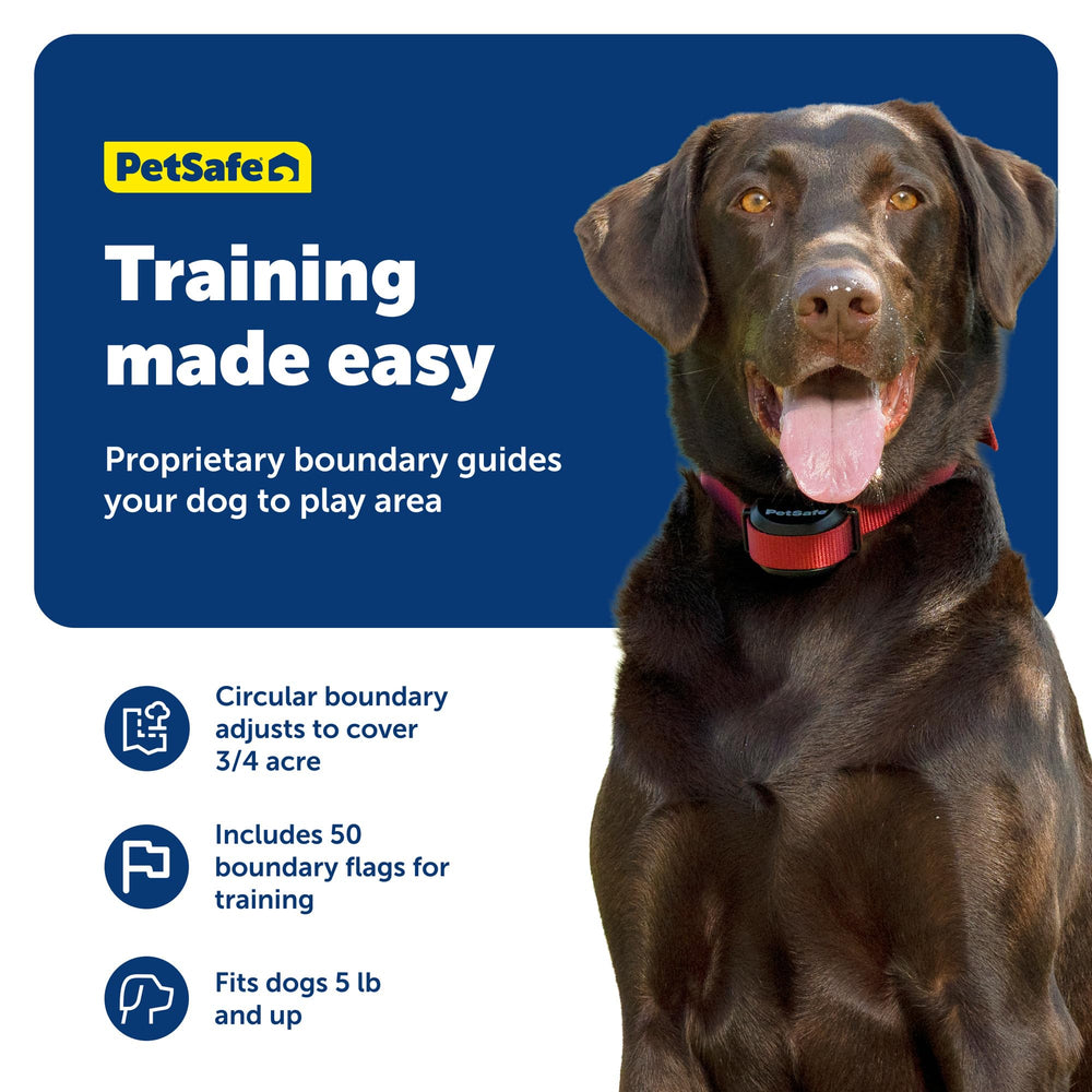 PetSafe Stay & Play training flags for guided, safe sessions.
