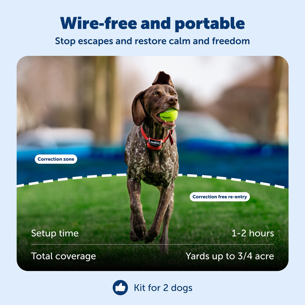 PetSafe Stay & Play boundary flags—visible cues to guide your dog during training.