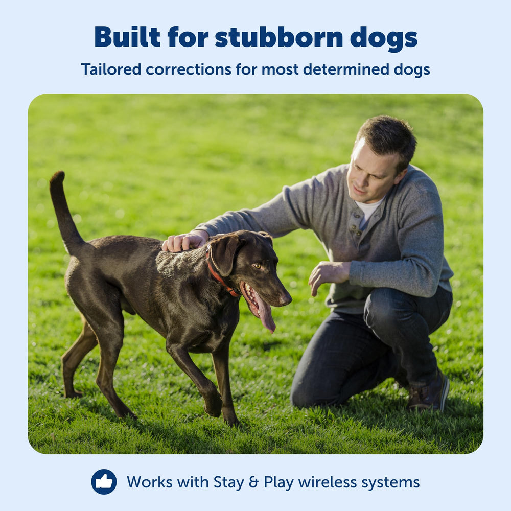 Five level correction interface on PetSafe Stay & Play for tailored training