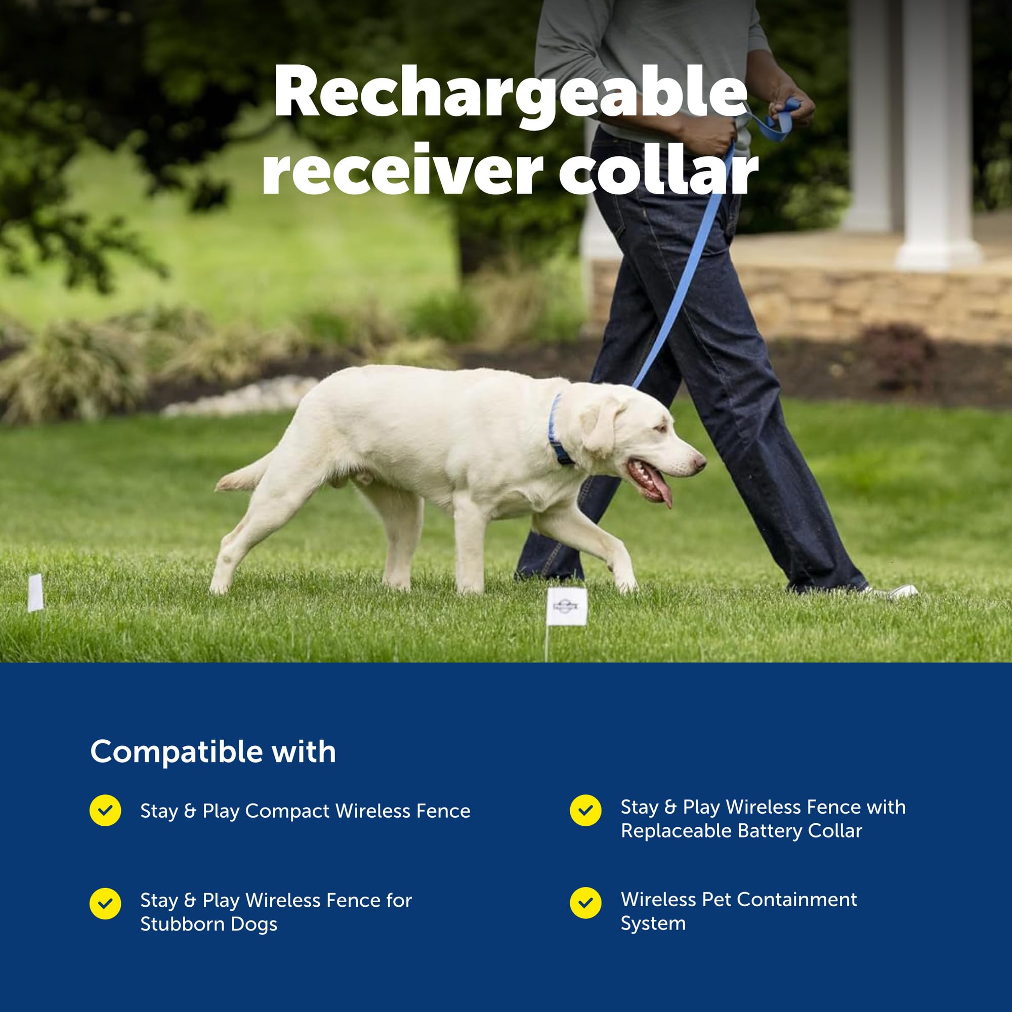 PetSafe Stay & Play interchangeable 3/4-inch collar strap for a custom fit.