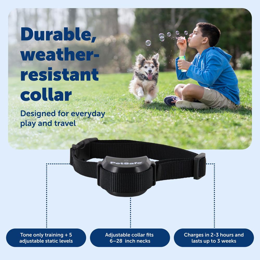 PetSafe Stay and Play portable transmitter used at home or during travel.