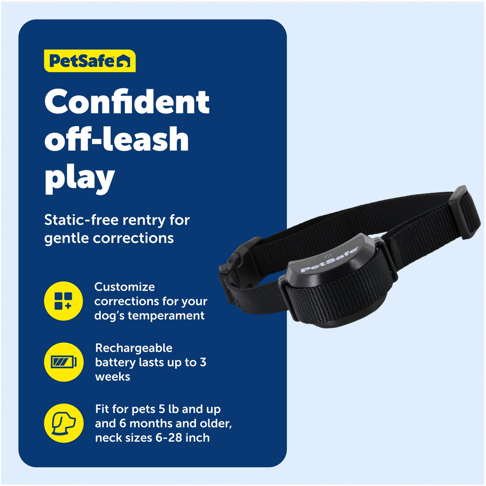 PetSafe Stay & Play tone-only mode for training without correction.