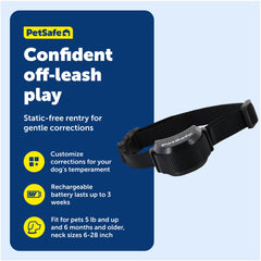 PetSafe Stay & Play tone-only mode for training without correction.