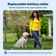PetSafe Stay & Play collar demonstrating tone and five static levels for tailored cues.