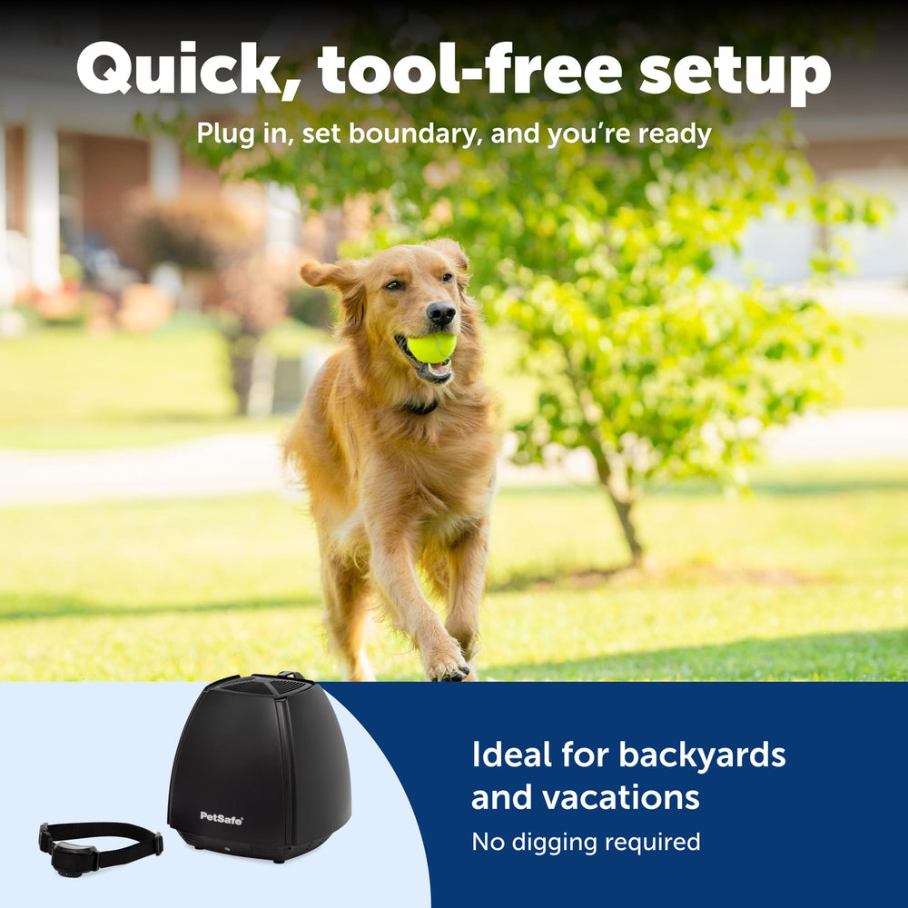 Waterproof collar shown ready for outdoor play in any weather.