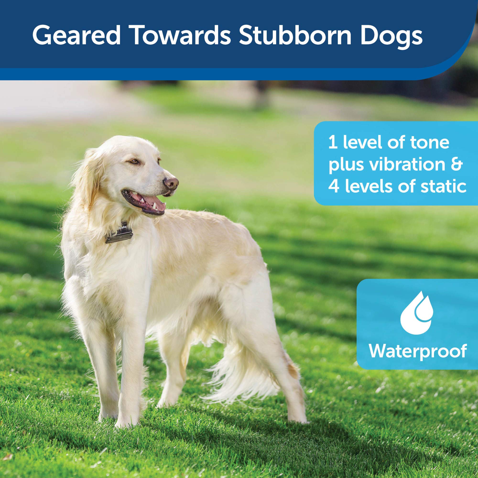 PetSafe tone plus vibration mode visual for hearing-impaired dogs.