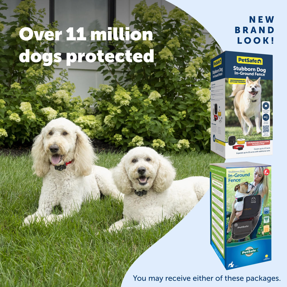PetSafe Stubborn Dog Receiver Collar demonstrates tone plus vibration for clear boundary cues.