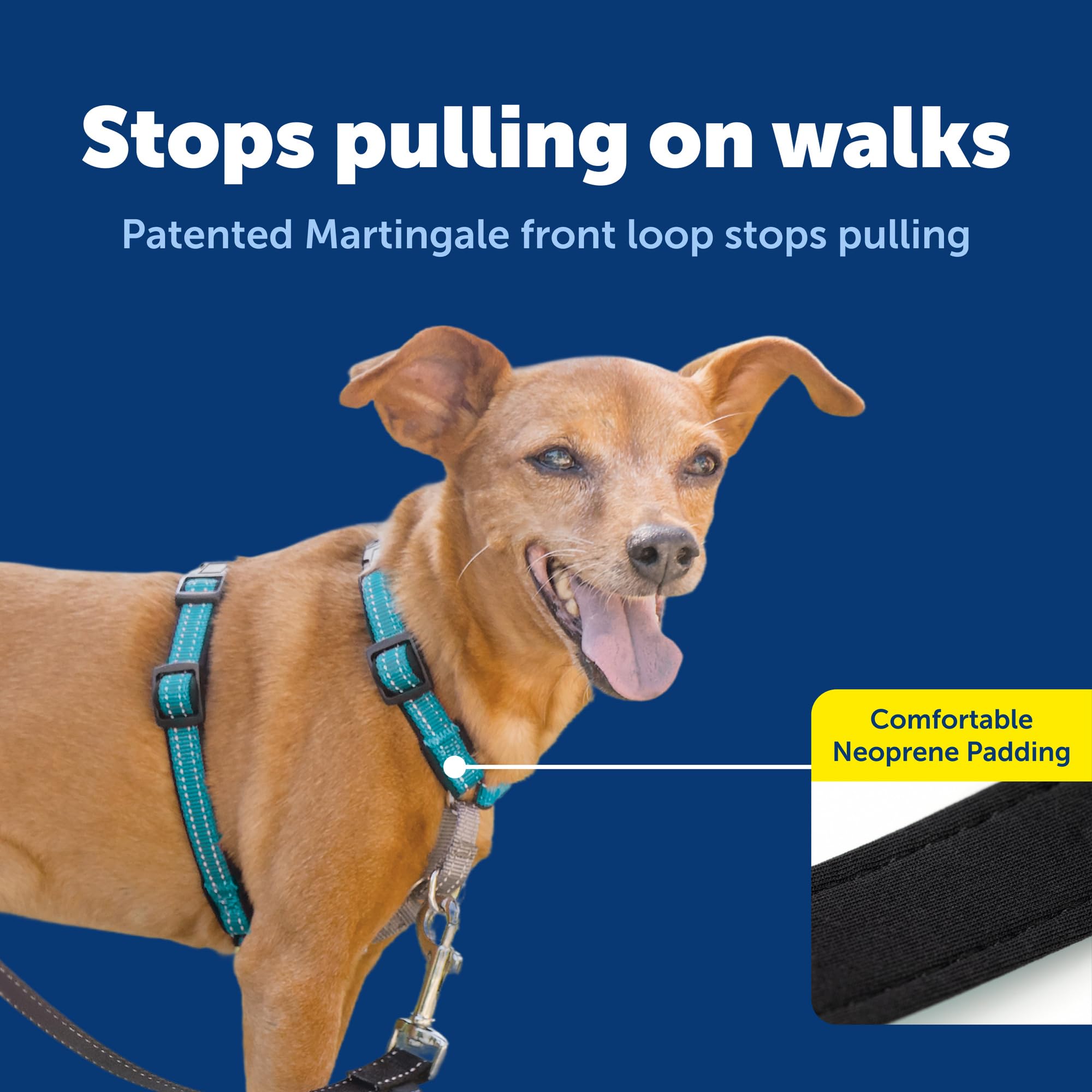 PetSafe top-handle for quick control on your teal harness