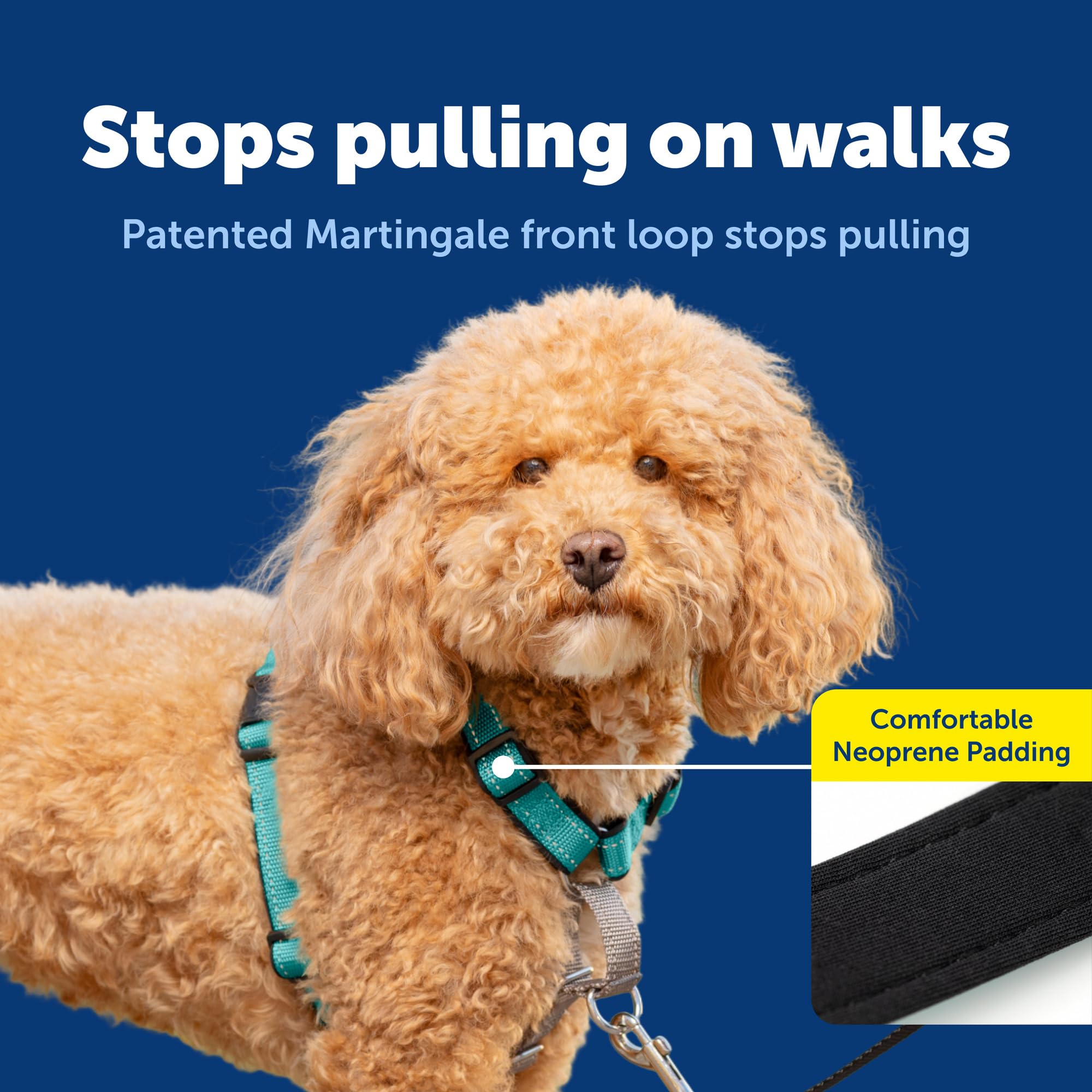 PetSafe top-handle harness provides quick control and lifting assistance outdoors