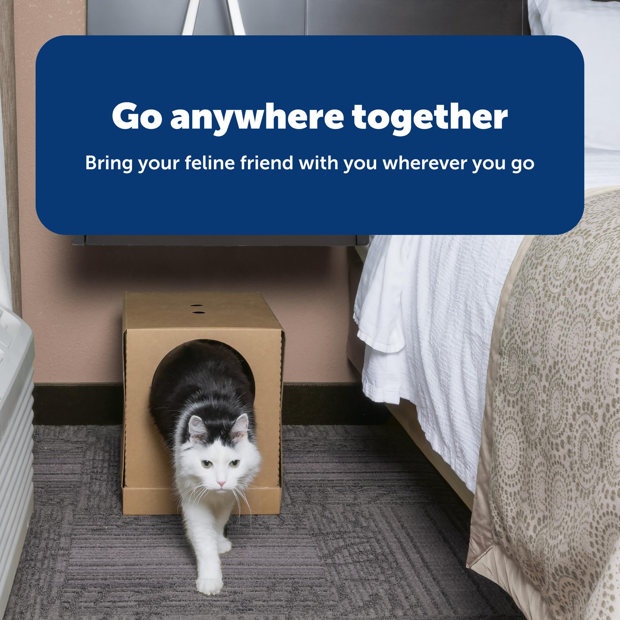 Compact travel-ready design fits in luggage or car.
