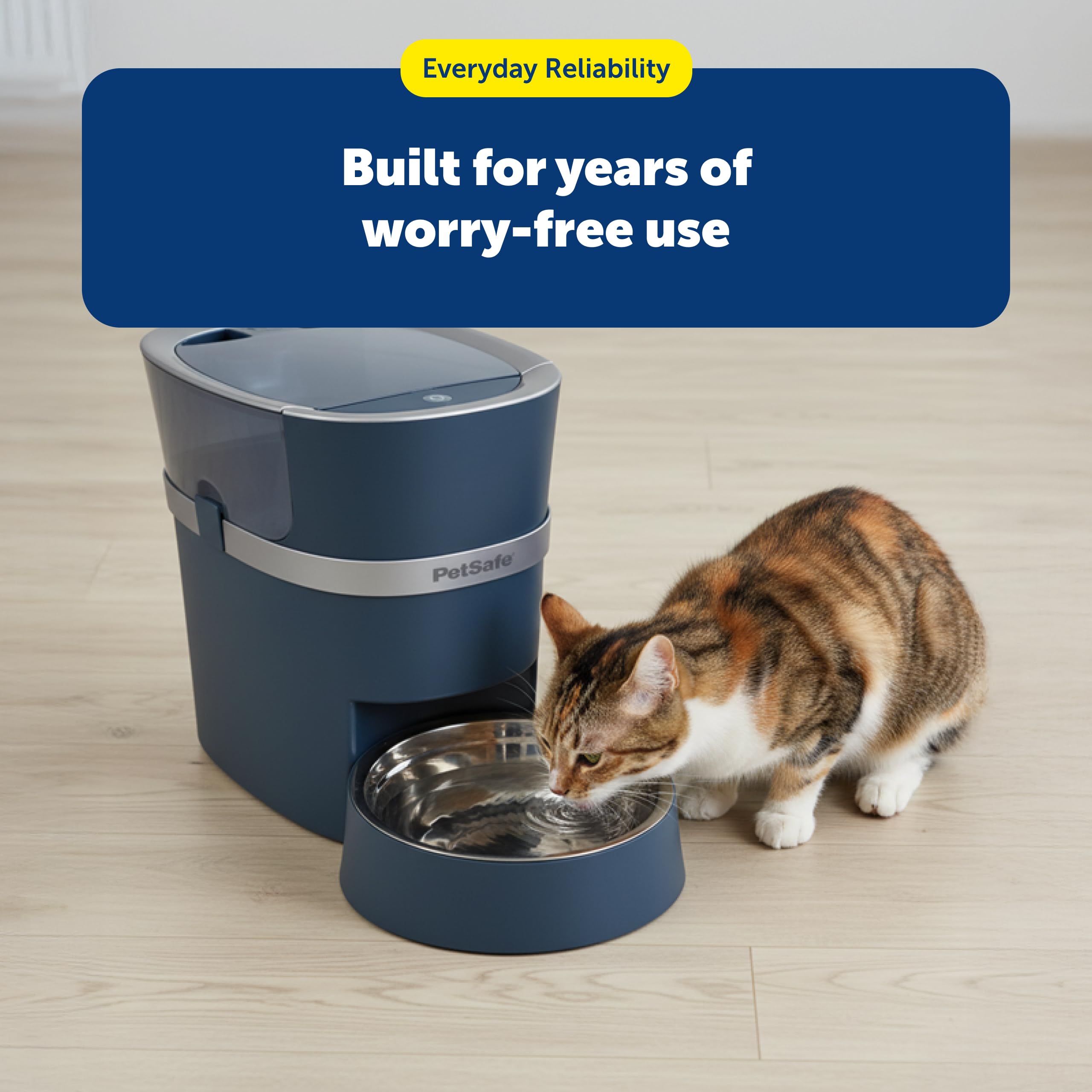 PetSafe two-bowl mealtime setup enhances sharing without mess.