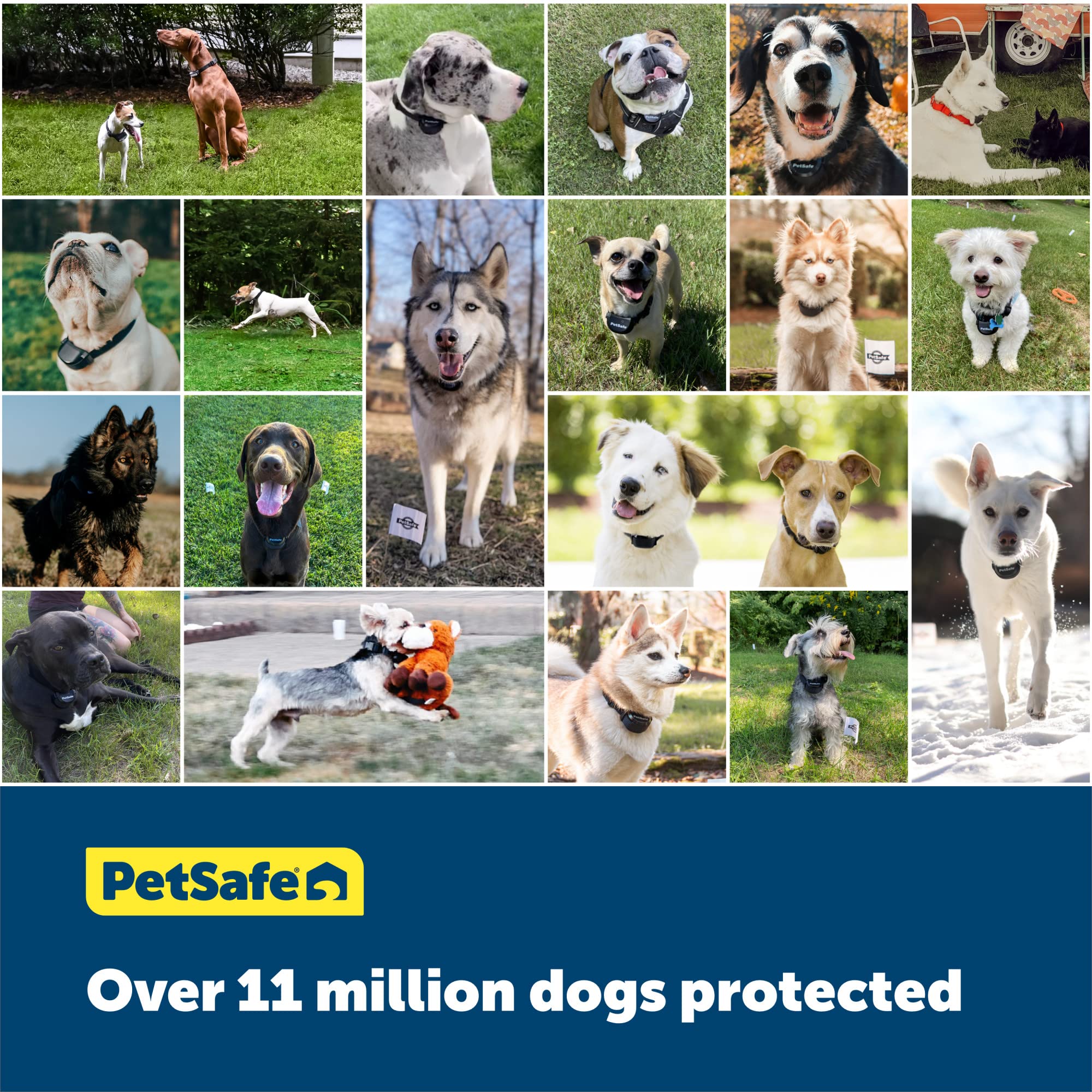 PetSafe US-based customer care supports fence setup and questions.