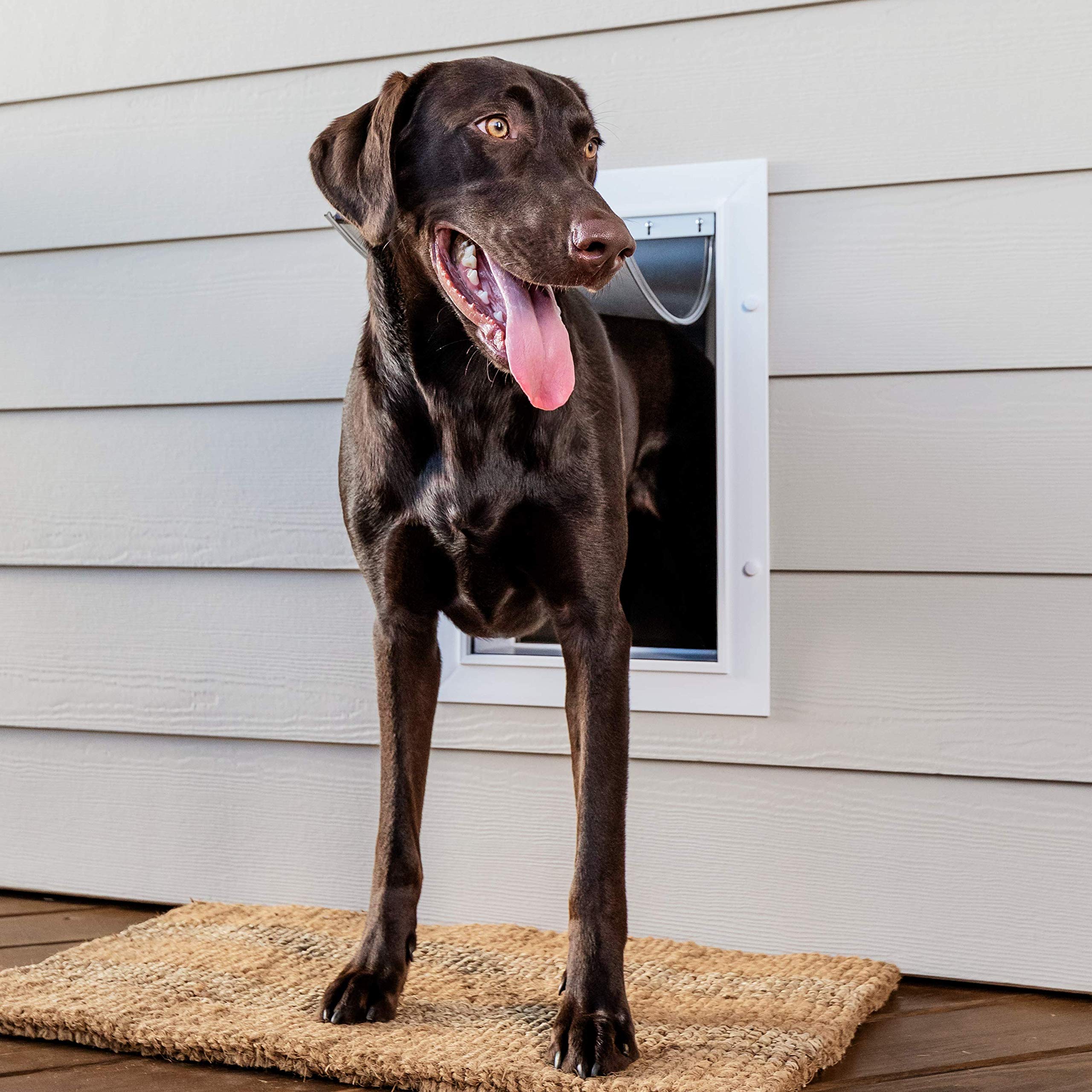 PetSafe wall-entry-tunnel-installation-detail demonstrates telescoping fit for 4 3/4 to 7 1/4 inch walls.